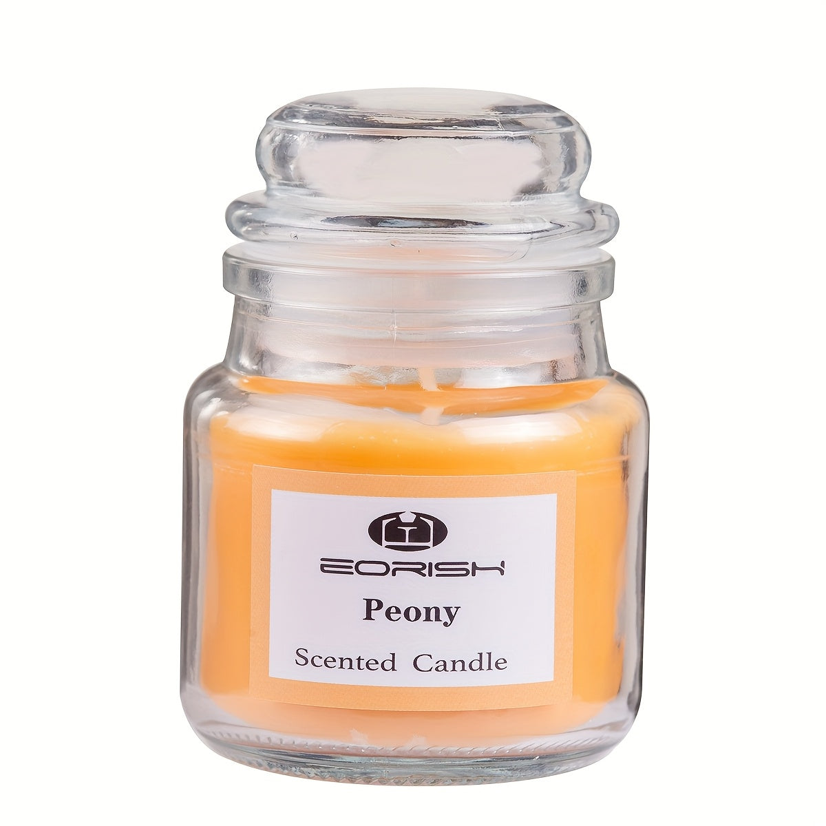 Vanilla Bean Pine Apple Cinnamon and Raspberry Scented Candle