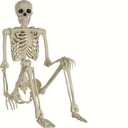 Life-Size 5.4Ft Posable Adult Human Skeletons With Movable Joints - Plastic Human Bones For Halloween Decoration