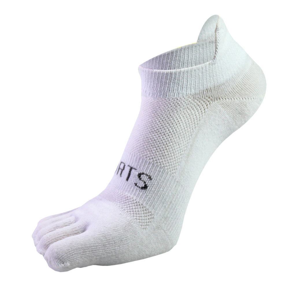 cjv8