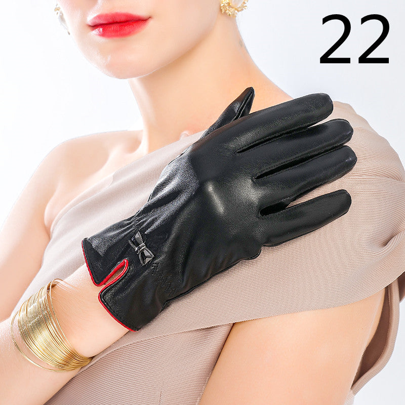 cjv21
