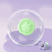 Hamster Running Ball with Large Space for Exercise
