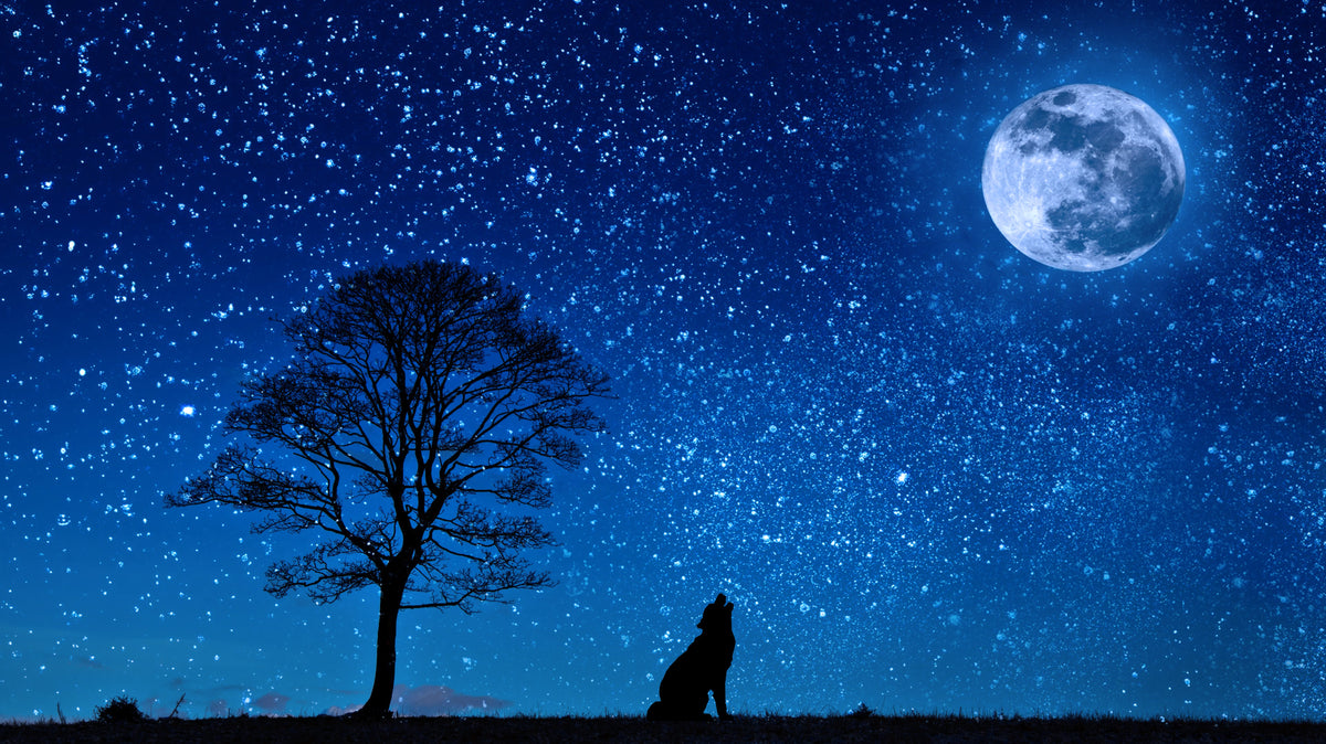 Wolf Moon Pattern Tapestry