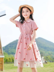 Summer Kids' Net Skirt Princess Dress