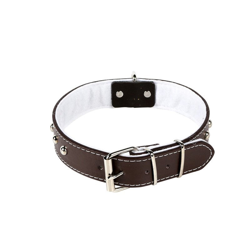 Durable Pet Collar