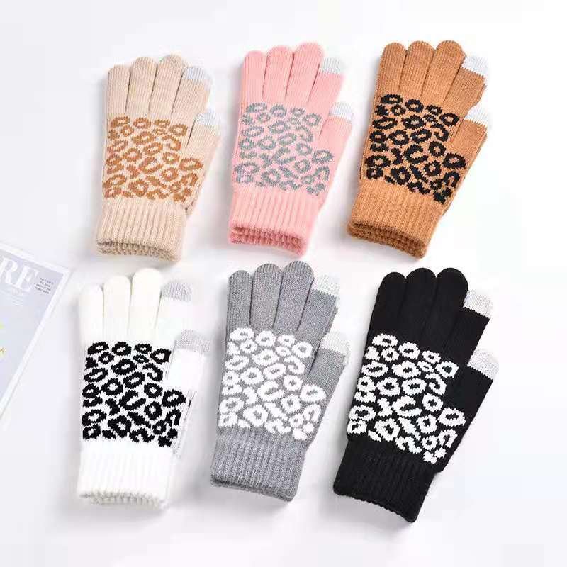 Warm Touch Screen Gloves for Men & Women - Jacquard Knit