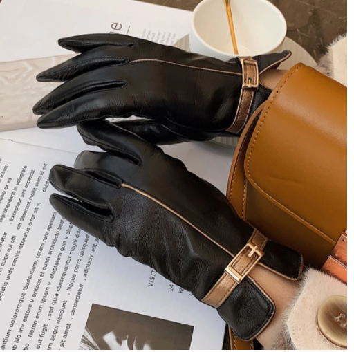 Warm Touch Screen Gloves for Women