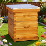 8-Frame Langstroth Beehive Starter Kit with Deep and Medium Boxes, Beeswax-Coated Frames and Foundations