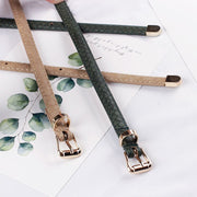 Snake Pattern Pin Buckle Belt for Women