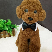 Pet Bow Tie Collar