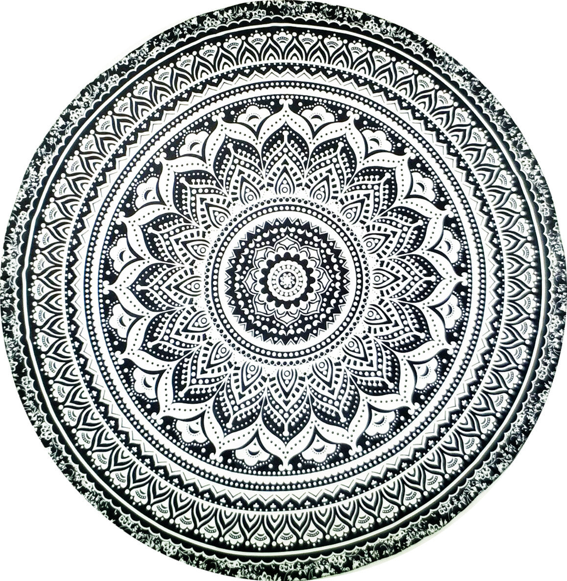 cjv24