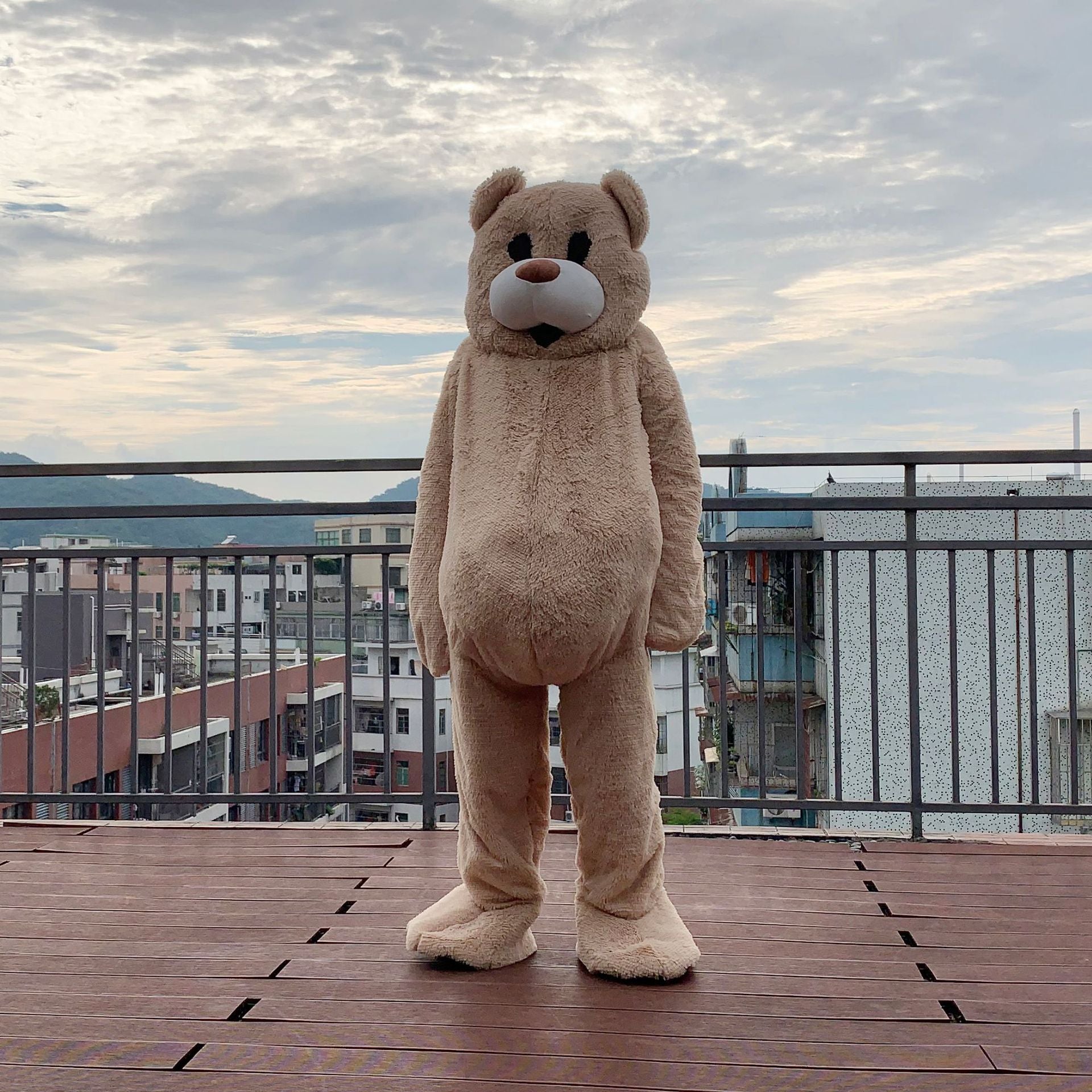 Oversized Cartoon Mascot Costume Dancing And Walking Teddy Bear Suit