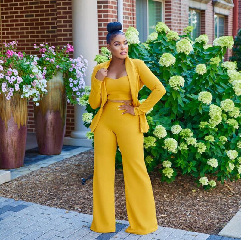 3-Piece Wide Leg Suit Set for Women
