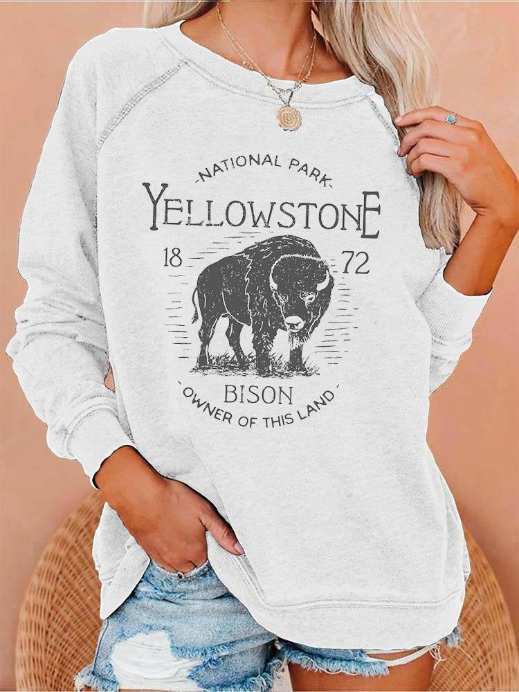 Bold 3D Print Streetwear Women's Pullover Hoodie