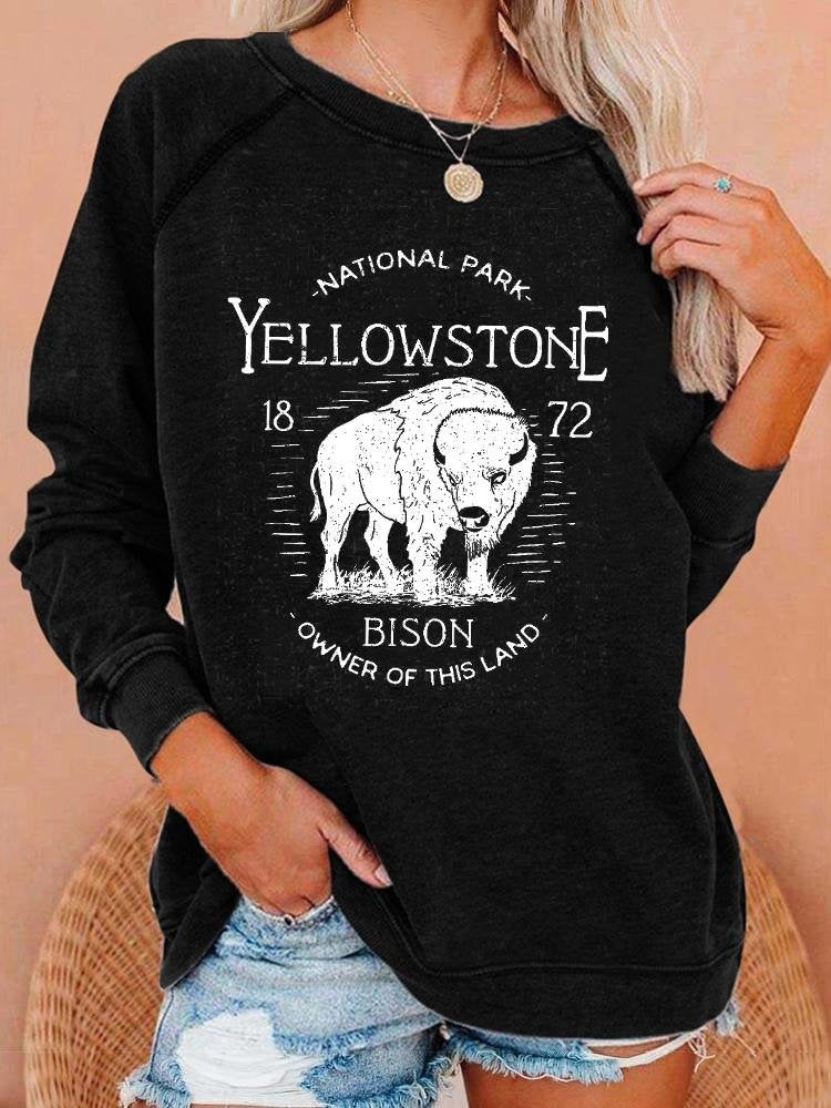 Bold 3D Print Streetwear Women's Pullover Hoodie