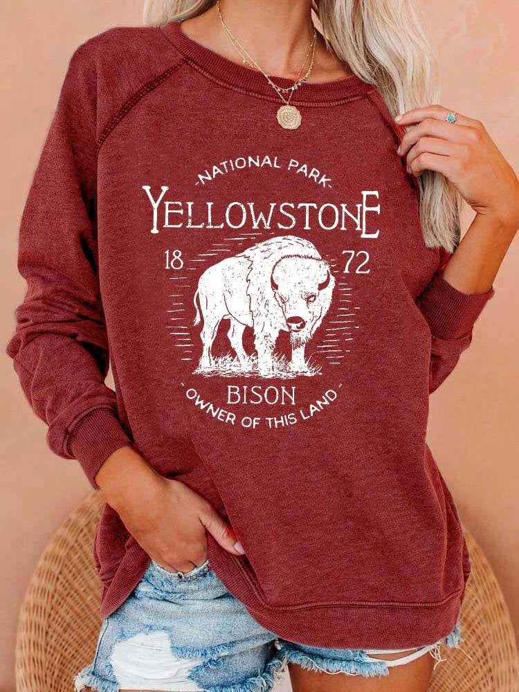 Bold 3D Print Streetwear Women's Pullover Hoodie
