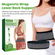 Relieve Soreness Plus Size Waist Support Belt