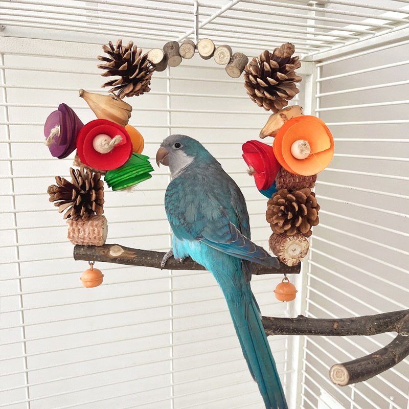 Bird Swing for Parrots - Wooden Fun Climbing Toy