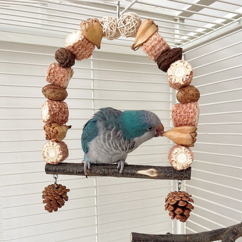 Natural Wooden Parrot Swing Bird Stand