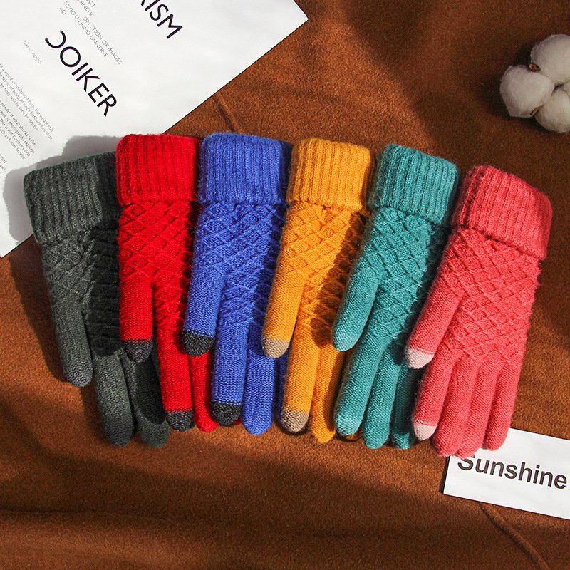 Warm Touch Screen Gloves for Women