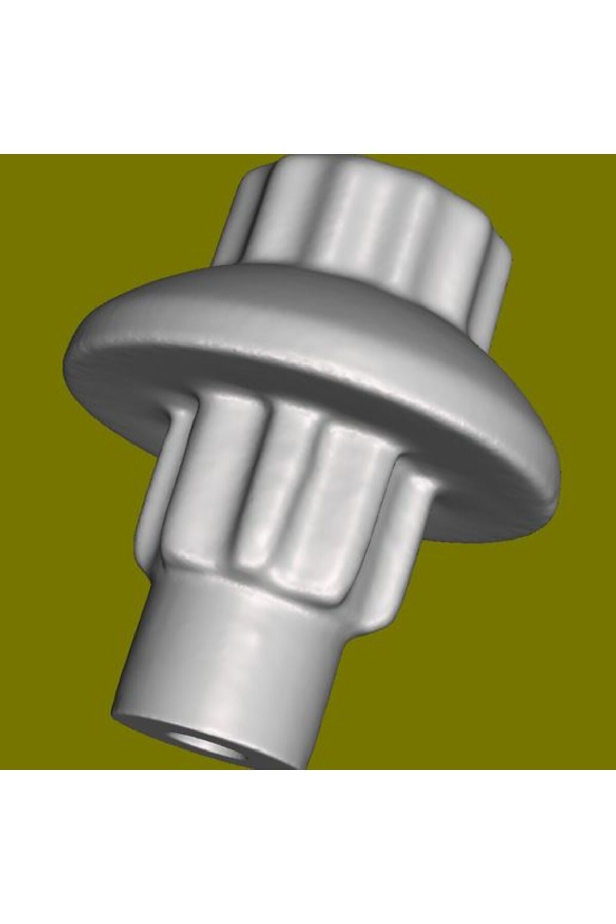 Decorative bolts for rims
