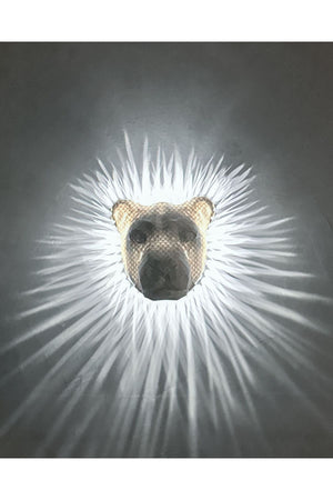 Löwe Nachtlampe, Wandlampe Sonderdesign