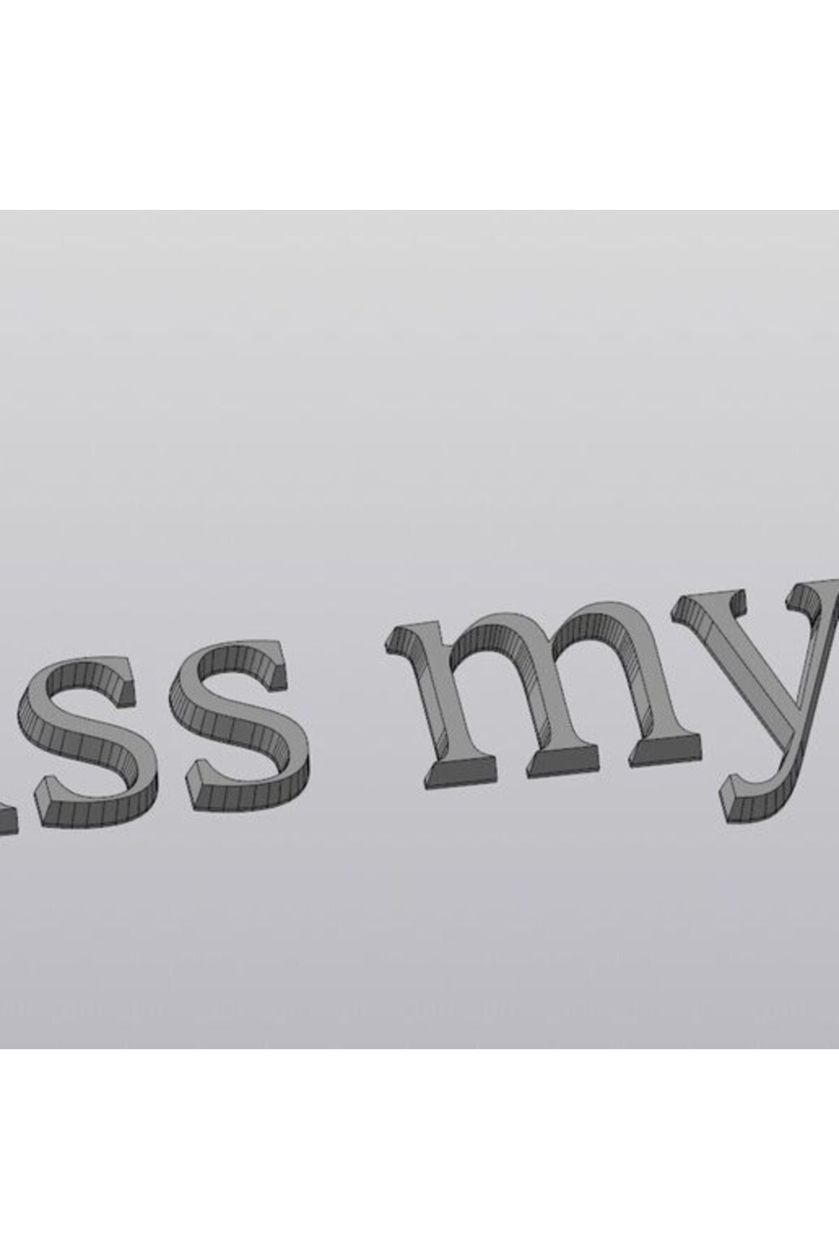 Gepäckbeschriftung (Kiss my S@)