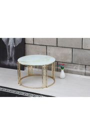 DAISY COFFEE TABLE
2 TUBE LASER
UNASSEMBLED
SHP 505