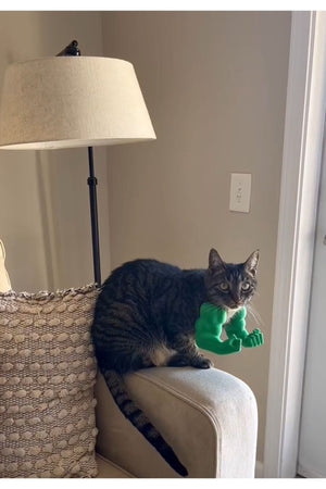 Cat Hulk Arm