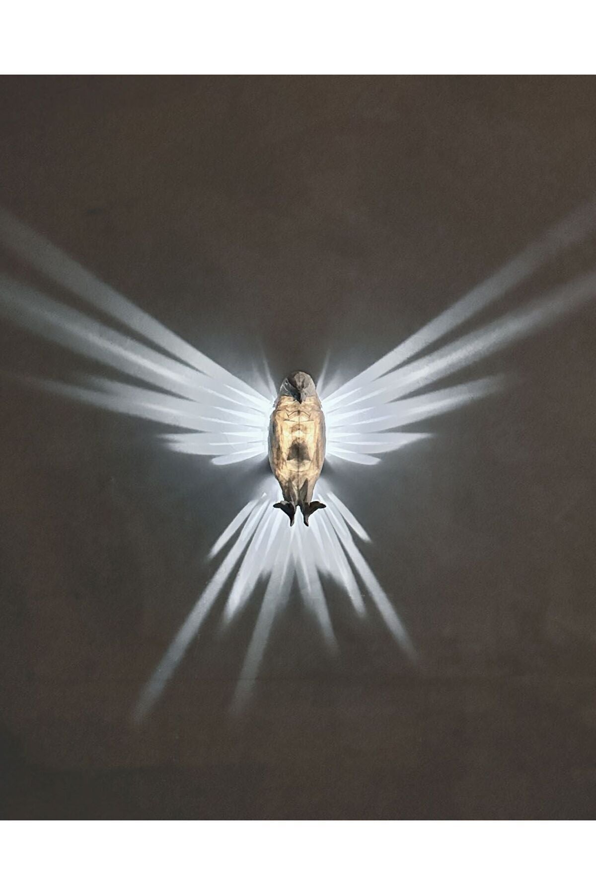 Elegante Wandleuchte „Adler“ (20 cm Länge)