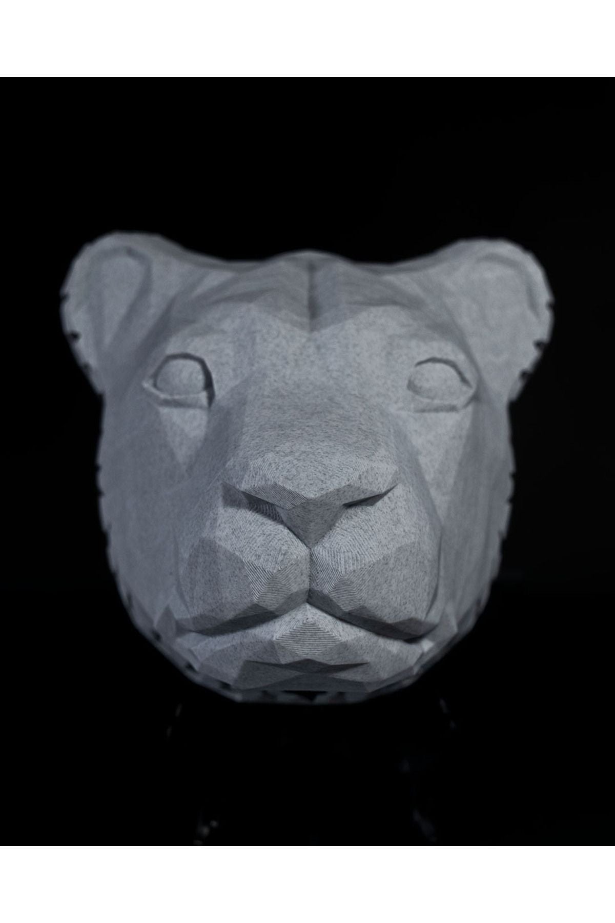 Lion Night Lamp, Wall Lamp Special Design