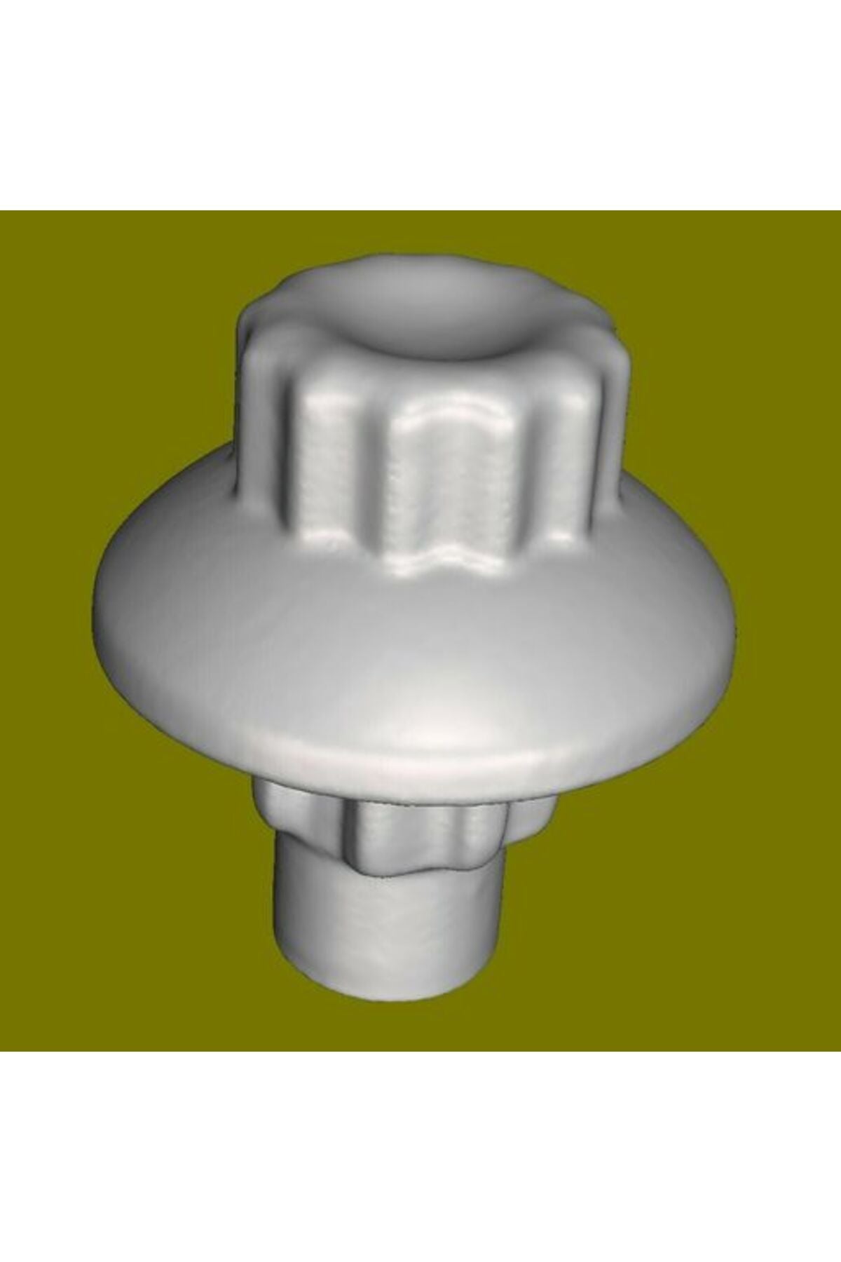 Decorative bolts for rims