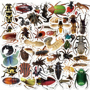 50‑Piece Insect Vinyl Sticker Pack – Ideal for Water Bottles, Skateboards & Bicycles