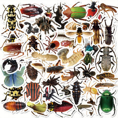 50‑Piece Insect Vinyl Sticker Pack – Ideal for Water Bottles, Skateboards & Bicycles