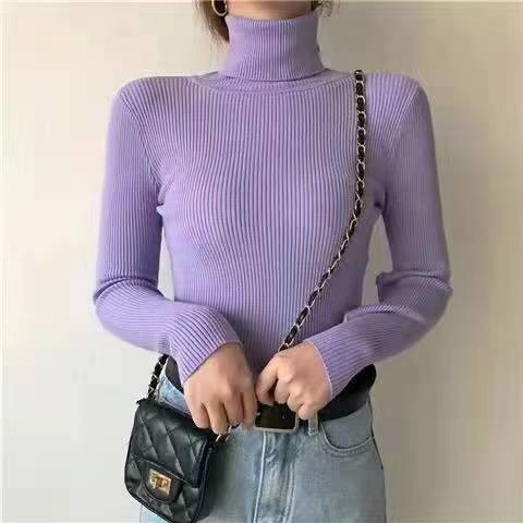 Turtleneck Knitted Sweater for Women Autumnwinter New Arrival