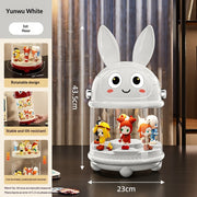 Double-Layer Dust-Proof Display Rack with Lid