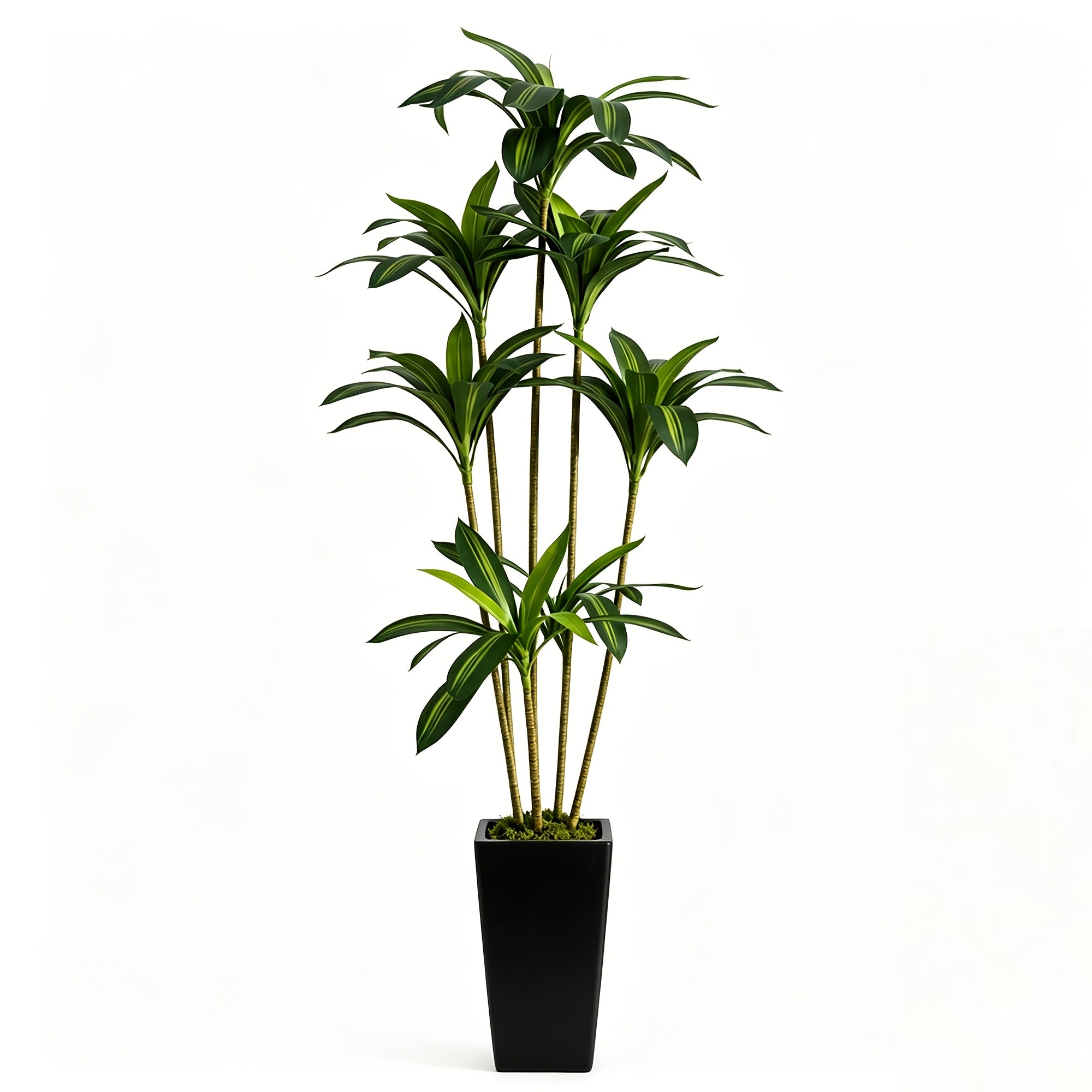 5 foot tall artificial dracaena plant with white planter for indoor decor