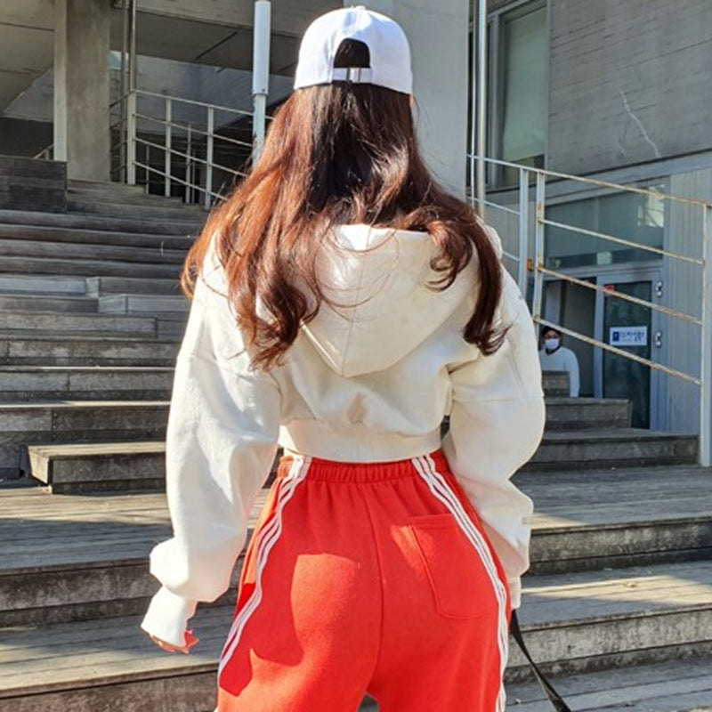 Chic Hooded Cotton Zip Sweatshirt