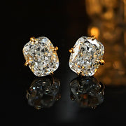 Glamorous Stud Earrings