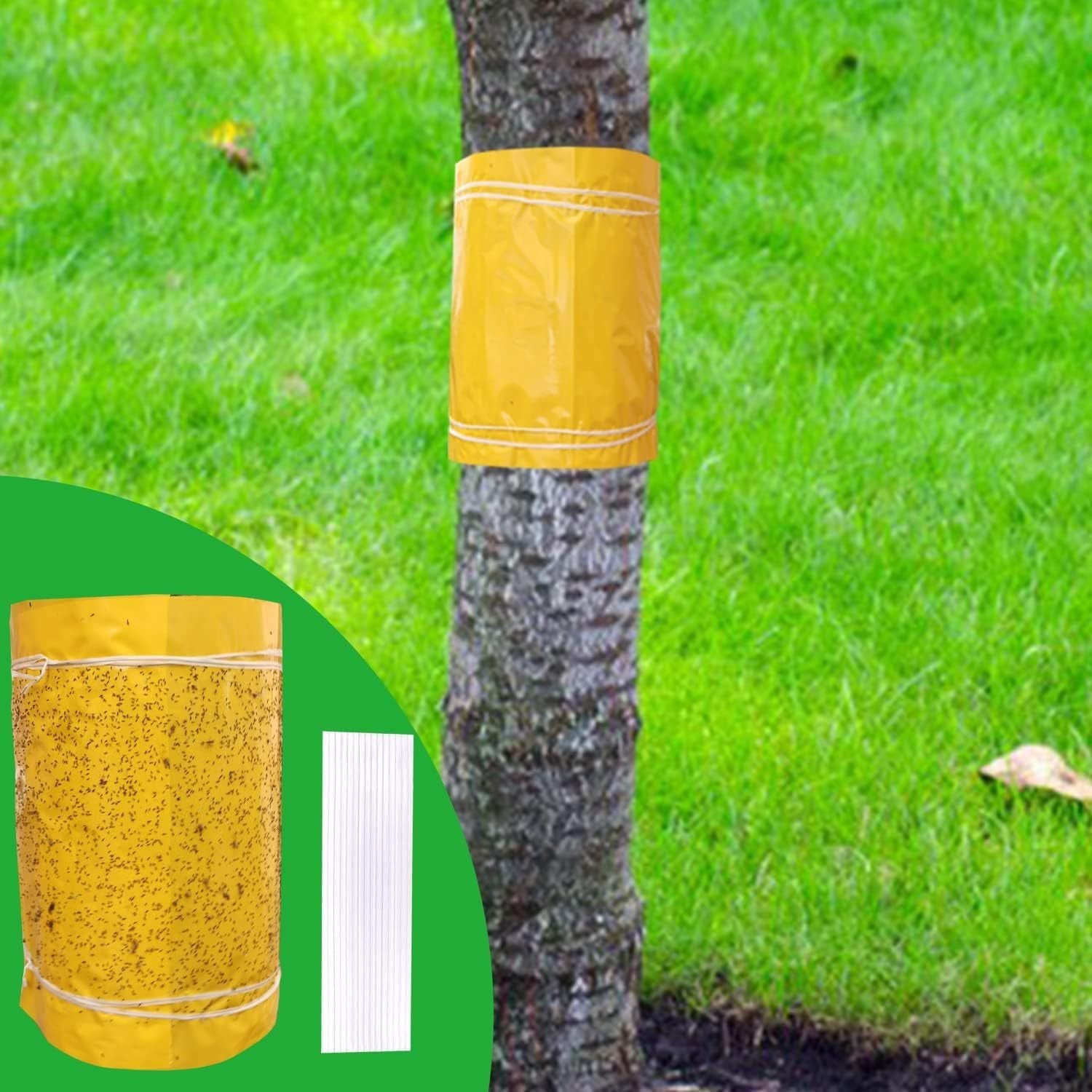 Protect Trees Easily