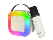 Portable Karaoke Mic