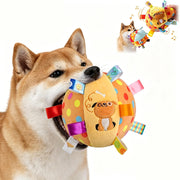 Squeaky Dog Toy