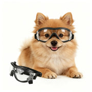 Windproof Dog Sunglasses for Small Breeds