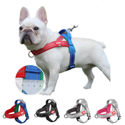No Pull Dog Harness