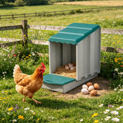 Chicken Coop Party Supplies Set for Poultry & Small Animals