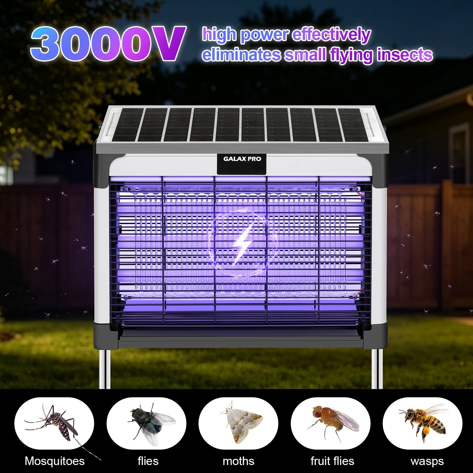 Fly Zapper & Pest Control