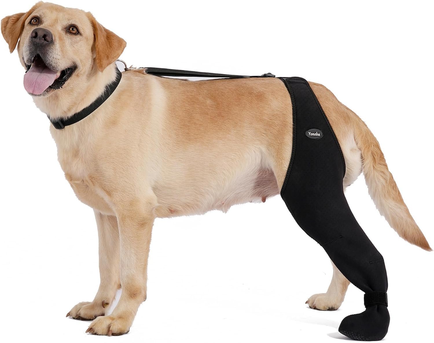 Prevent Licking Paws Dog Socks - Breathable & Adjustable