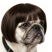 Funny Cat & Dog Wigs - Pet Cosplay Costume for Halloween & Christmas