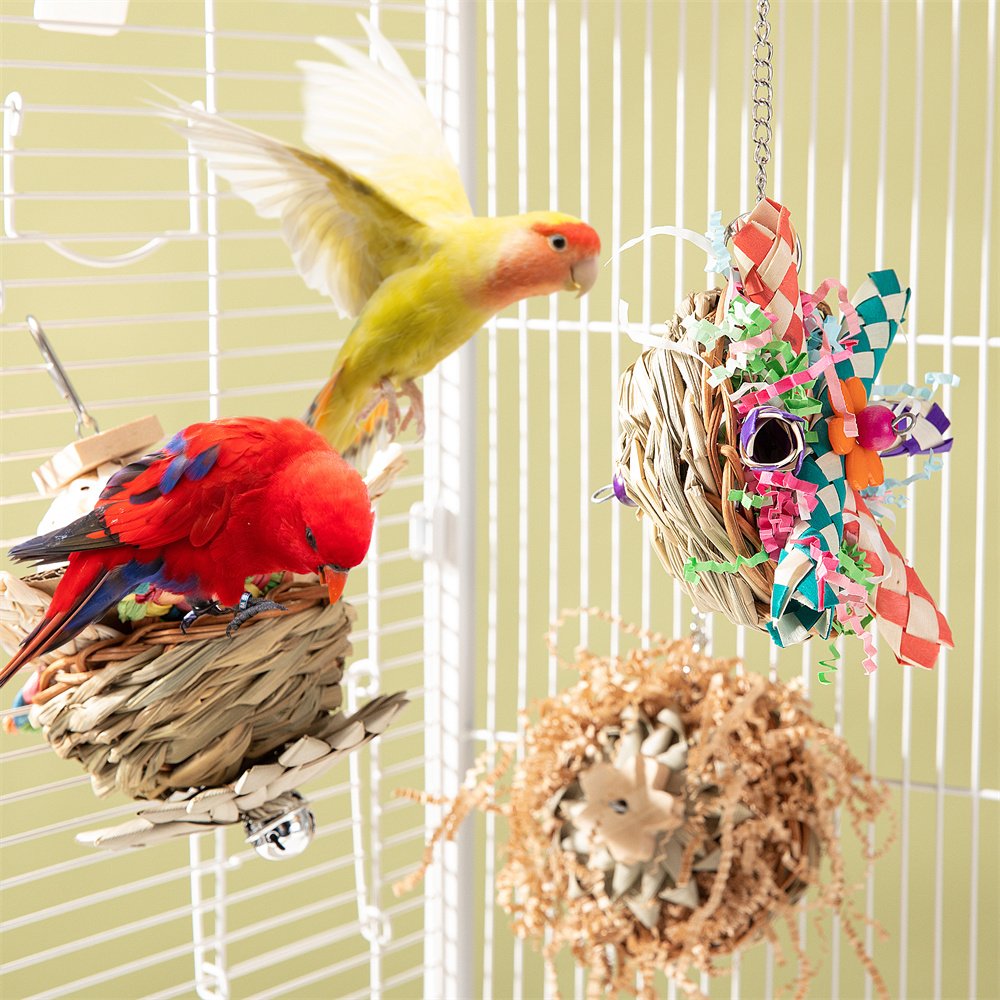 Parrot Bird Toy - Gnawing Molar Stimulator