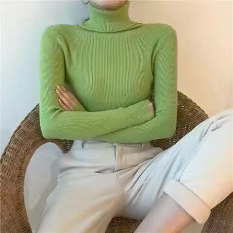 Turtleneck Knitted Sweater for Women Autumnwinter New Arrival