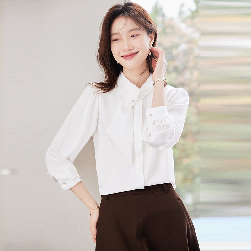 Women's Slim Fit Long Sleeve Professional Work Blouse
